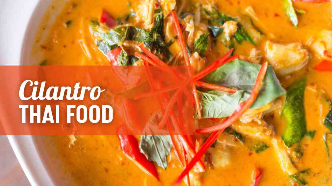 Menjelajahi Cita Rasa Thailand di Cilantro Thai To Go