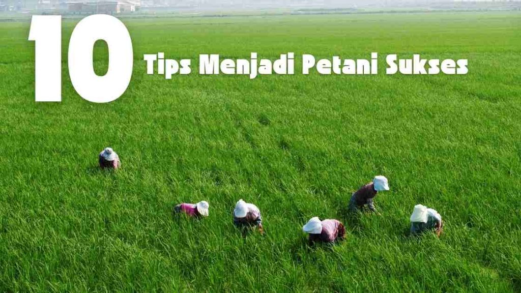 menjadi petani sukses