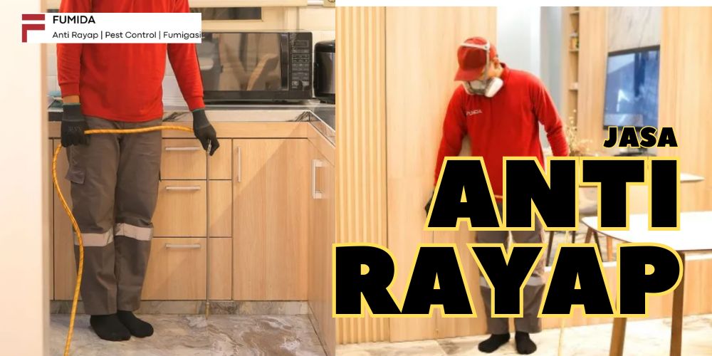 Fumida - Jasa Pembasmi Rayap Profesional Terpercaya